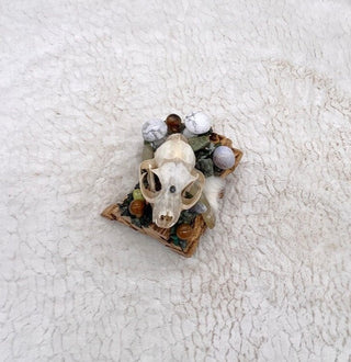 Cholla Cactus, Skull Medicine, Howlite, Chalcedony, Copper, Glowing Pebble,Serpentine, Bloodstone, Aventurine, Emerald, Mystical Altar Skull - Journey There -