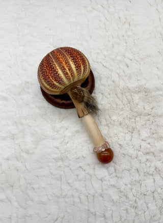 Sea Urchin Rattle Shaker, Rutilated Quartz Skull, Carnelian, Peach Moonstone, Healing, Meditation