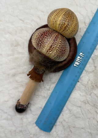 Sea Urchin Rattle Shaker, Tiger Eye, Leopard Skin Jasper, Ammonite, Confidence, Ancestral Release