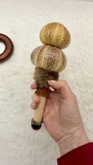 Sea Urchin Rattle Shaker, Tiger Eye, Leopard Skin Jasper, Ammonite, Confidence, Ancestral Release