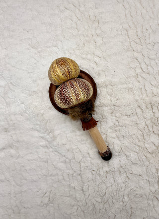 Sea Urchin Rattle Shaker, Tiger Eye, Leopard Skin Jasper, Ammonite, Confidence, Ancestral Release