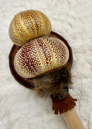 Sea Urchin Rattle Shaker, Tiger Eye, Leopard Skin Jasper, Ammonite, Confidence, Ancestral Release