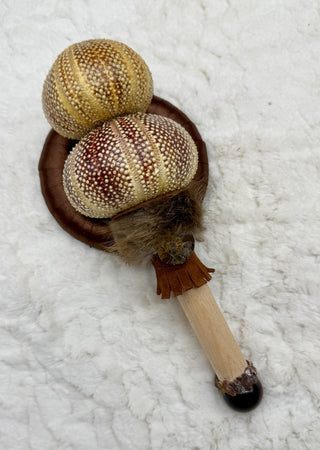 Sea Urchin Rattle Shaker, Tiger Eye, Leopard Skin Jasper, Ammonite, Confidence, Ancestral Release