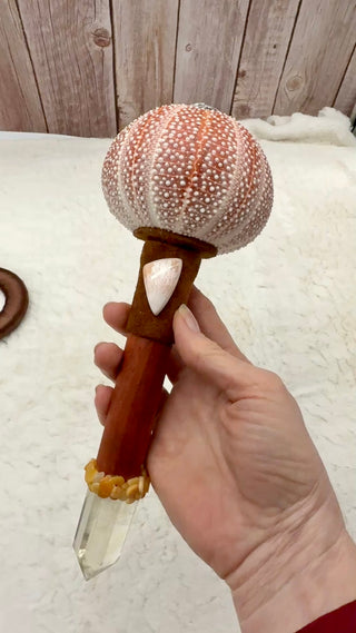 Sea Urchin Rattle Shaker, Citrine Point, Pink Scolecite, Ruby Record Keeper, Yellow Jade