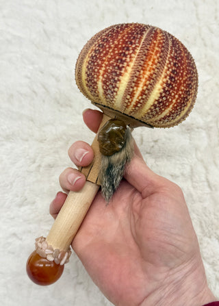 Sea Urchin Rattle Shaker, Rutilated Quartz Skull, Carnelian, Peach Moonstone, Healing, Meditation