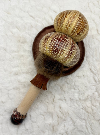 Sea Urchin Rattle Shaker, Tiger Eye, Leopard Skin Jasper, Ammonite, Confidence, Ancestral Release