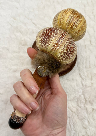 Sea Urchin Rattle Shaker, Tiger Eye, Leopard Skin Jasper, Ammonite, Confidence, Ancestral Release