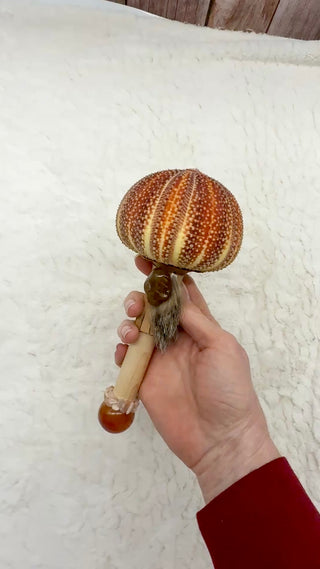 Sea Urchin Rattle Shaker, Rutilated Quartz Skull, Carnelian, Peach Moonstone, Healing, Meditation