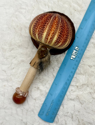 Sea Urchin Rattle Shaker, Rutilated Quartz Skull, Carnelian, Peach Moonstone, Healing, Meditation
