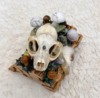 Cholla Cactus, Skull Medicine, Howlite, Chalcedony, Copper, Glowing Pebble,Serpentine, Bloodstone, Aventurine, Emerald, Mystical Altar Skull - Journey There -