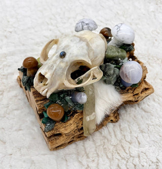 Cholla Cactus, Skull Medicine, Howlite, Chalcedony, Copper, Glowing Pebble,Serpentine, Bloodstone, Aventurine, Emerald, Mystical Altar Skull - Journey There -