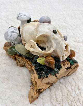 Cholla Cactus, Skull Medicine, Howlite, Chalcedony, Copper, Glowing Pebble,Serpentine, Bloodstone, Aventurine, Emerald, Mystical Altar Skull - Journey There -